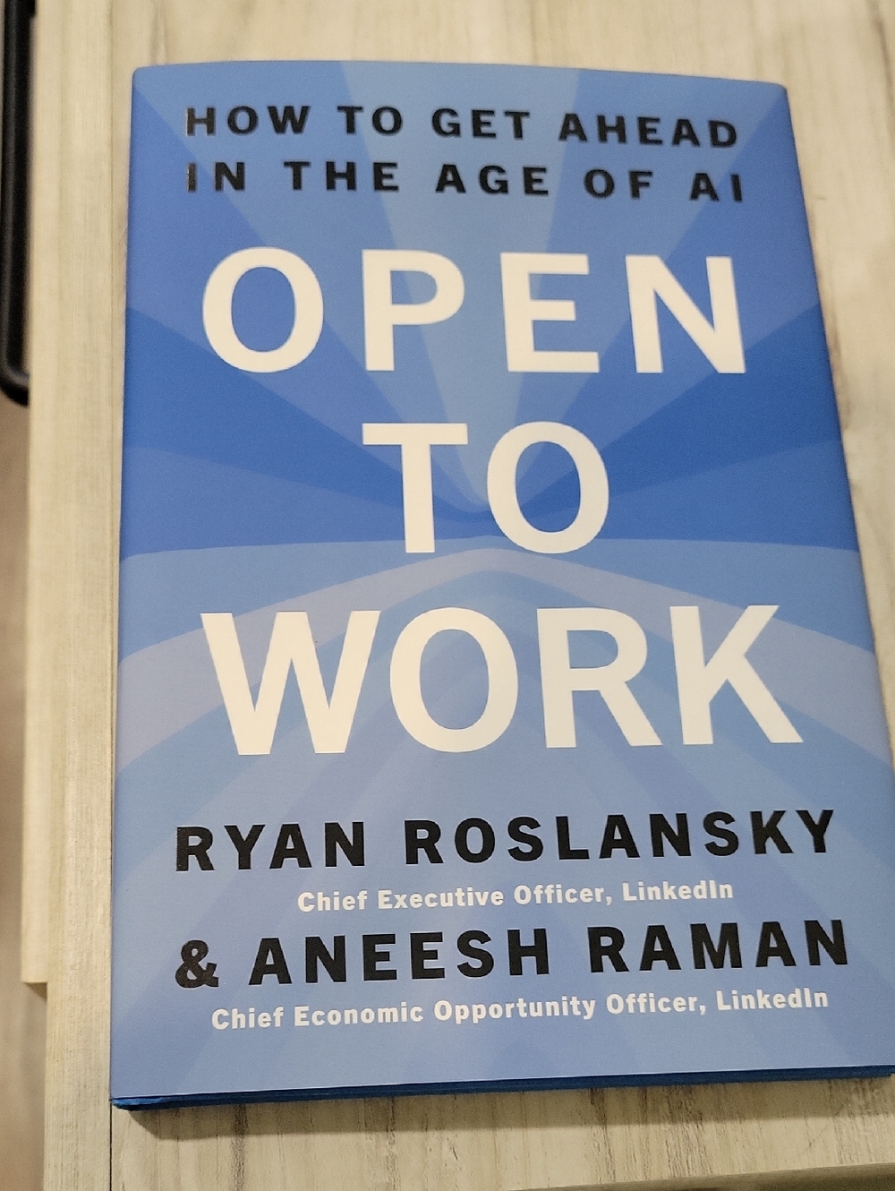 Open to Work by Ryan Roslansky & Aneesh Raman - Blue Hardcover